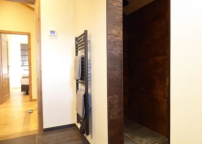 Chalet Pearl Winterberg Modern Wifi 6 Personen Near Lift